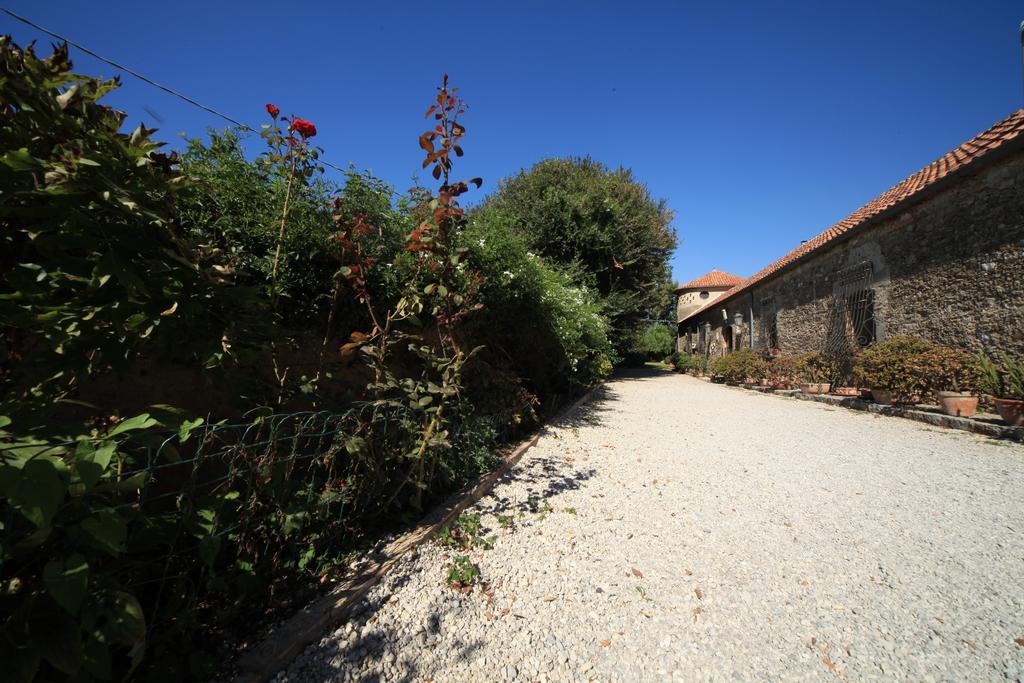 Azienda Agrituristica Seliano Paestum Eksteriør bilde